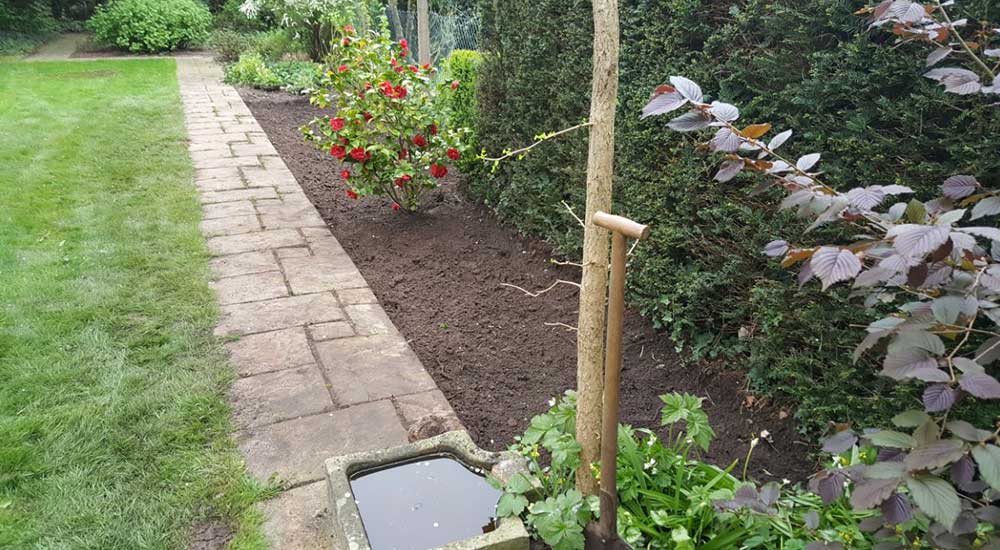 Allgemeine Gartenpflege